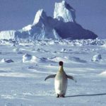 Антарктида побила рекорд потепления климата