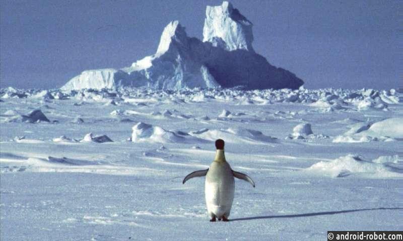 Антарктида побила рекорд потепления климата
